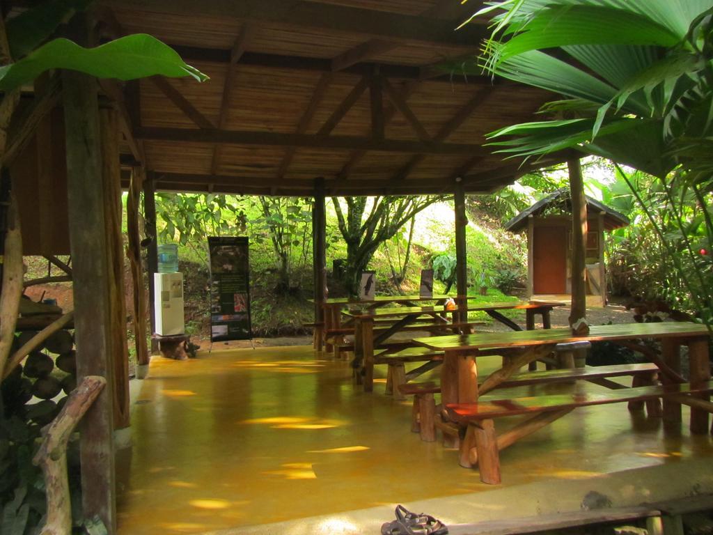 El Chontal Hotel Rincón Eksteriør billede